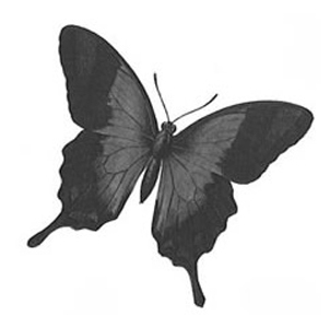 񹮽 õ繮 , Ÿ õŸ  Ÿ