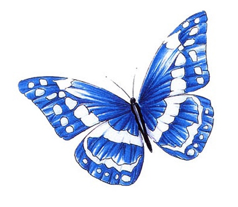 񹮽 õ繮 , Ÿ õŸ  Ÿ