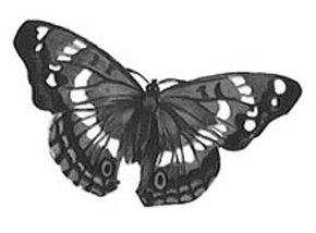 񹮽 õ繮 , Ÿ õŸ  Ÿ