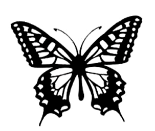 񹮽 õ繮 , Ÿ õŸ  Ÿ