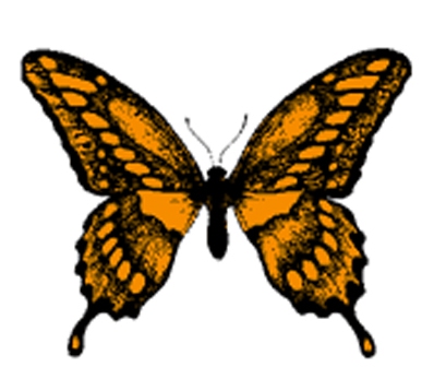 񹮽 õ繮 , Ÿ õŸ  Ÿ