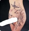 ,  ,  Ÿ, 
