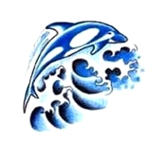  Ű