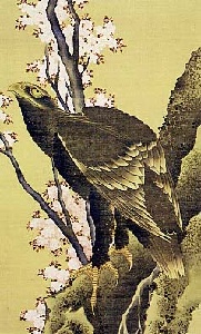 鵵