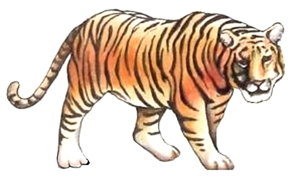 ȣ 