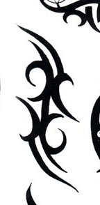 ذŸ