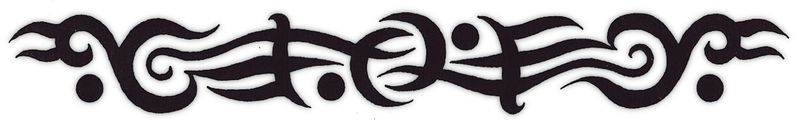 Ź̹