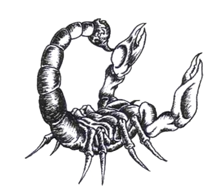 Ʈ