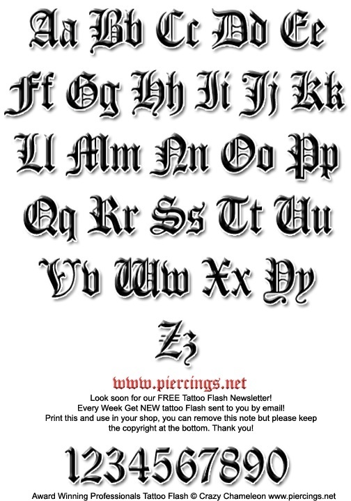 Ʈ̹