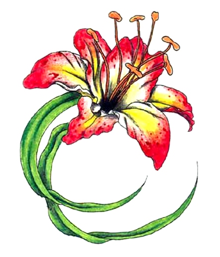 ڸŸ