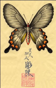 ڸ