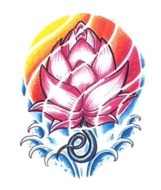 Ű