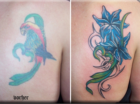 cover-up Ŀ���� cover up Ŀ�����̶�