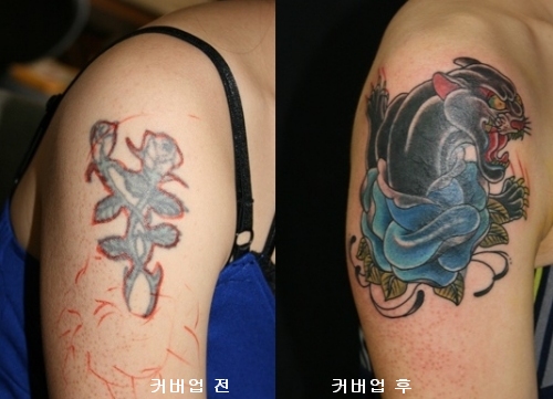 cover-up Ŀ���� cover up Ŀ�����̶�