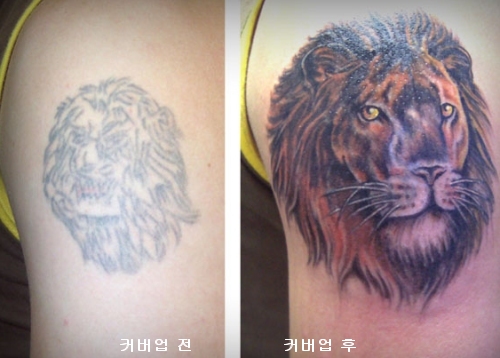 cover-up Ŀ���� cover up Ŀ�����̶�