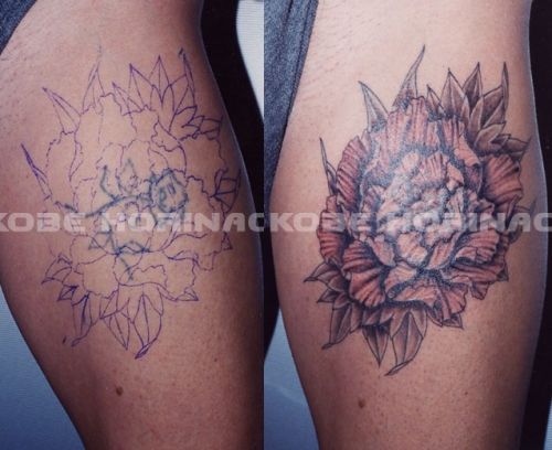 cover-up Ŀ���� cover up Ŀ�����̶�