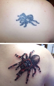 cover-up Ŀ���� cover up Ŀ�����̶�