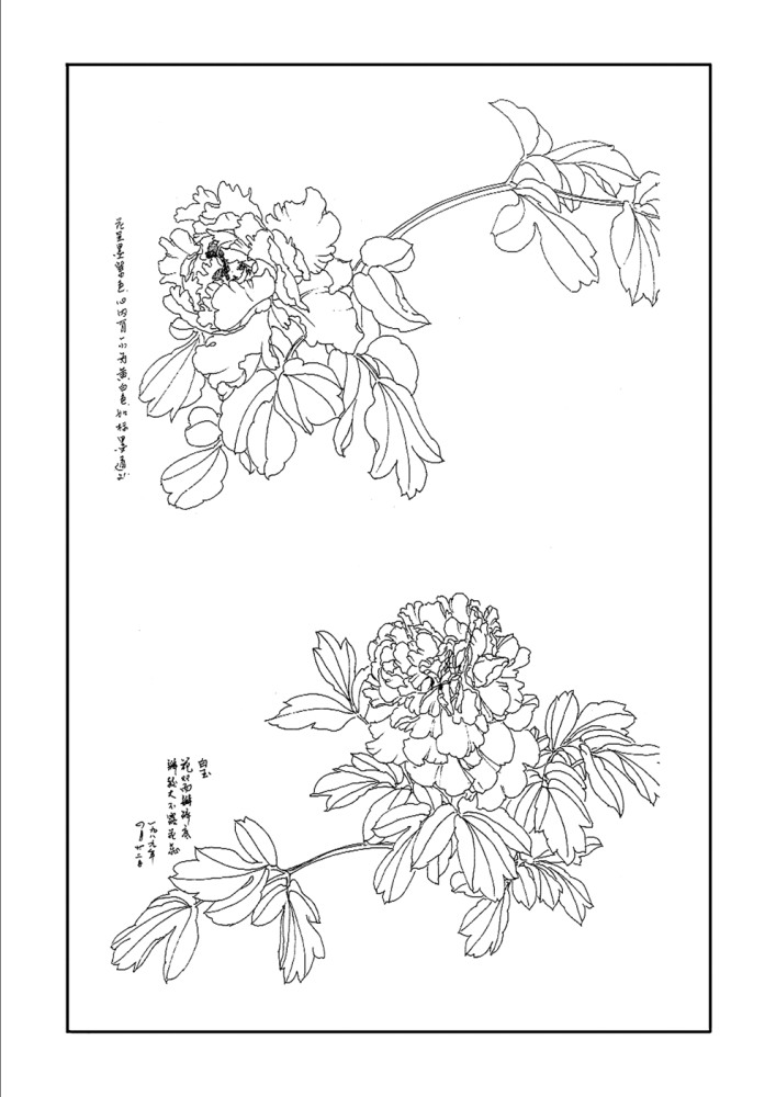 �ϳ�����