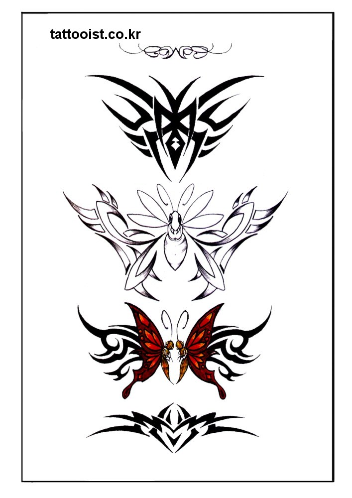 ���ɹ���